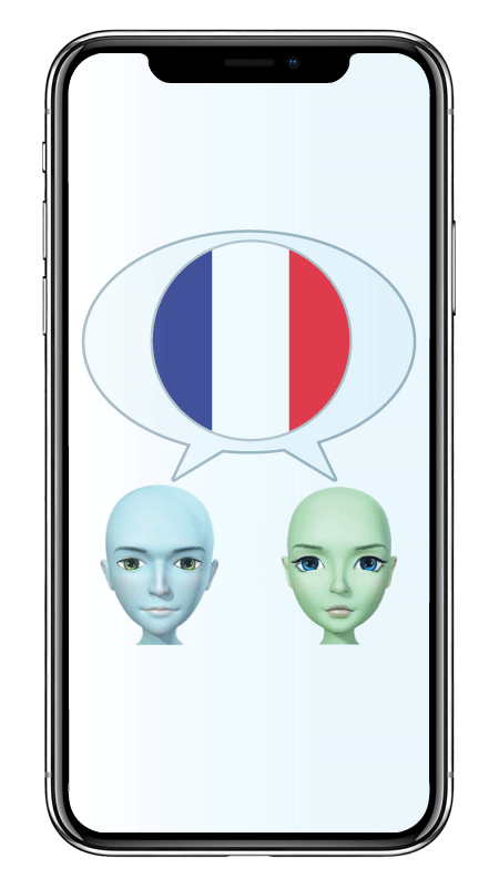 basic français mockup